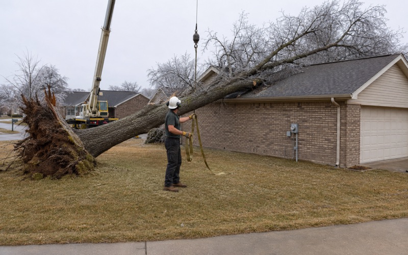 Worker passing a choker strap around a windthrown northern red oak resting on a Spring Hill garage roof, its root plate lifted clear of the lawn.