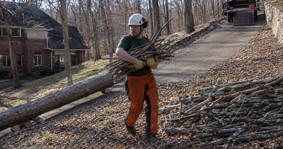 Worker carrying cut white oak branches up a steep wooded Oak Hill lot to the stack beside the truck at the head of the drive.